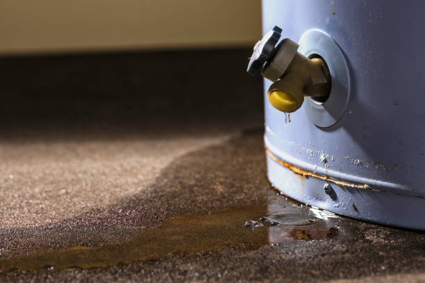 Best Flood damage cleanup  in Blackwater, AZ