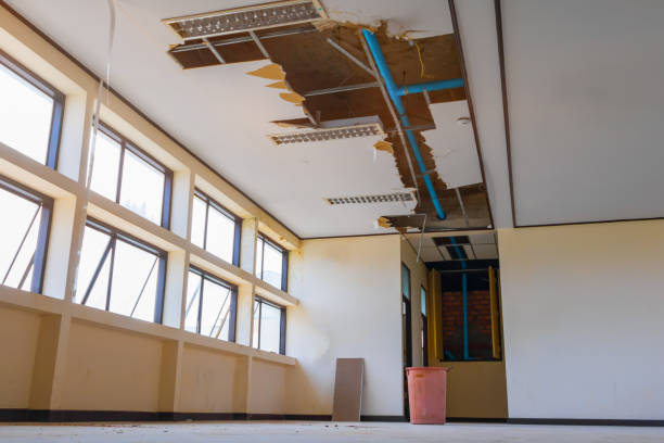 Best Water damage restoration near me  in Blackwater, AZ