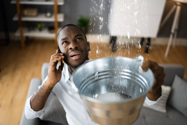 Best Basement water damage restoration  in Blackwater, AZ