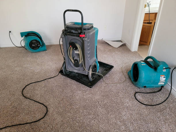 Best Sewage cleanup and water damage restoration  in Blackwater, AZ