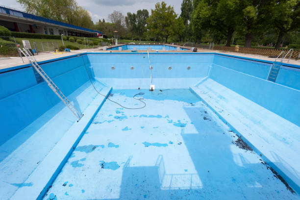 Best Water damage contractors near me  in Blackwater, AZ