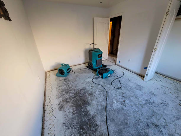 Best 24-hour water damage restoration  in Blackwater, AZ