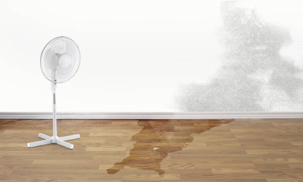  Blackwater, AZ Water damage restoration Pros