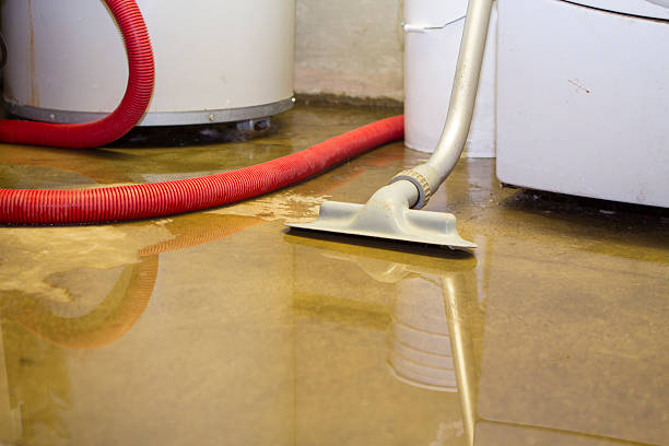 Best Local water damage restoration  in Blackwater, AZ