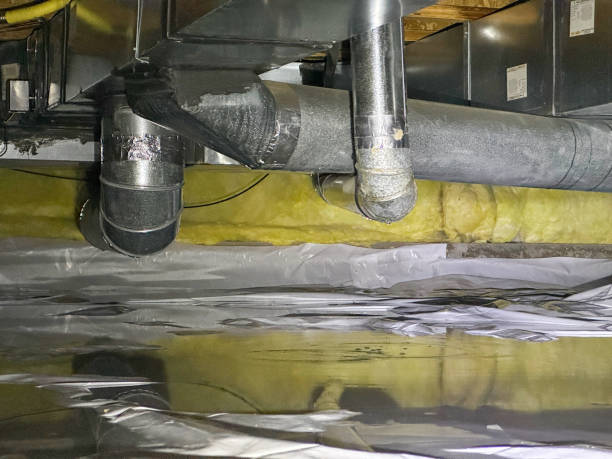 Best Water damage restoration near me  in Blackwater, AZ