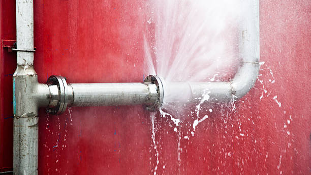 Best Flood damage cleanup  in Blackwater, AZ